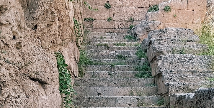 silna wola